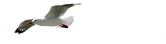 Header logo